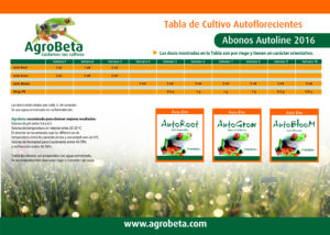 tabla autoline trasera