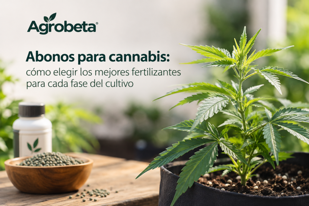 Abonos para cannabis: guía para elegir fertilizantes para marihuana