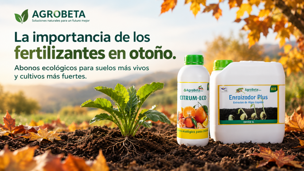 Abonos de otoño AGROBETA para cultivos