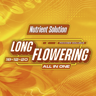 AGROBETA LONG FLOWERING