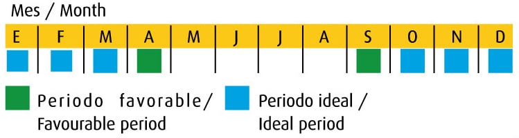 aplicacion cesped