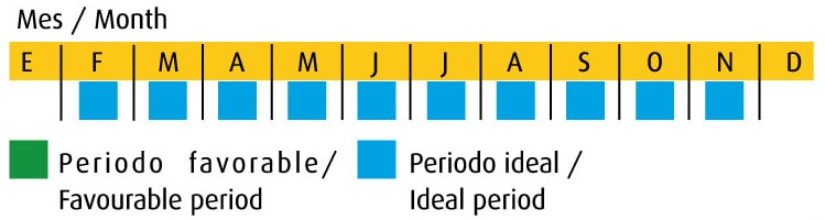 aplicacion crecimiento